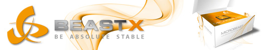 beastx-fair-banner-3.jpg